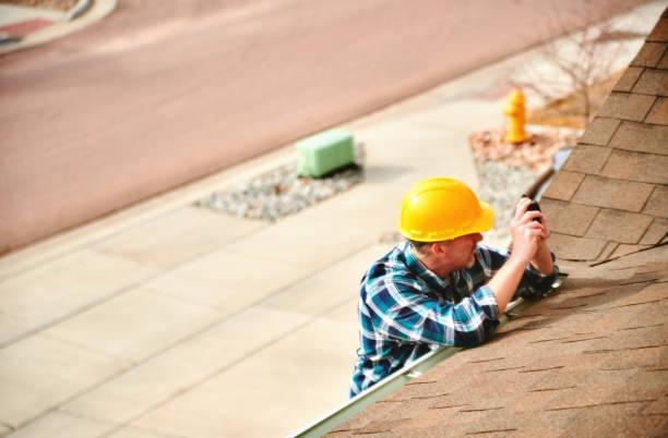 Best Local Roofing Companies  in Warroad, MN