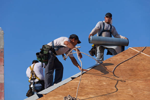 Best Emergency Roof Repair  in Warroad, MN