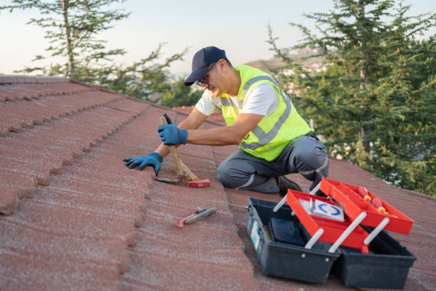 Best Roof Maintenance Services  in Warroad, MN