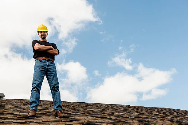 Best Roof Repair Services  in Warroad, MN