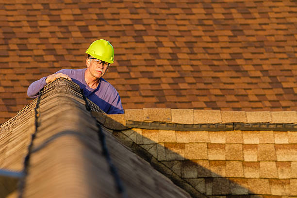 Best Storm Damage Roof Repair  in Warroad, MN