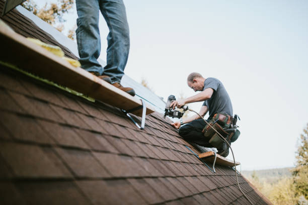 Quick and Trustworthy Emergency Roof Repair Services in Warroad, MN