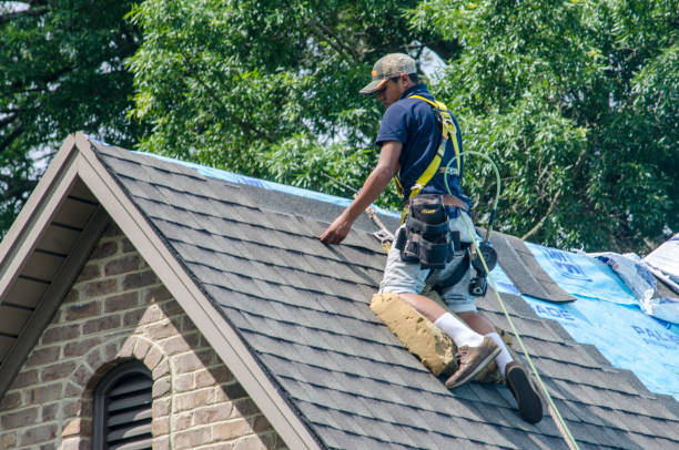 Best New Roof Installation  in Warroad, MN